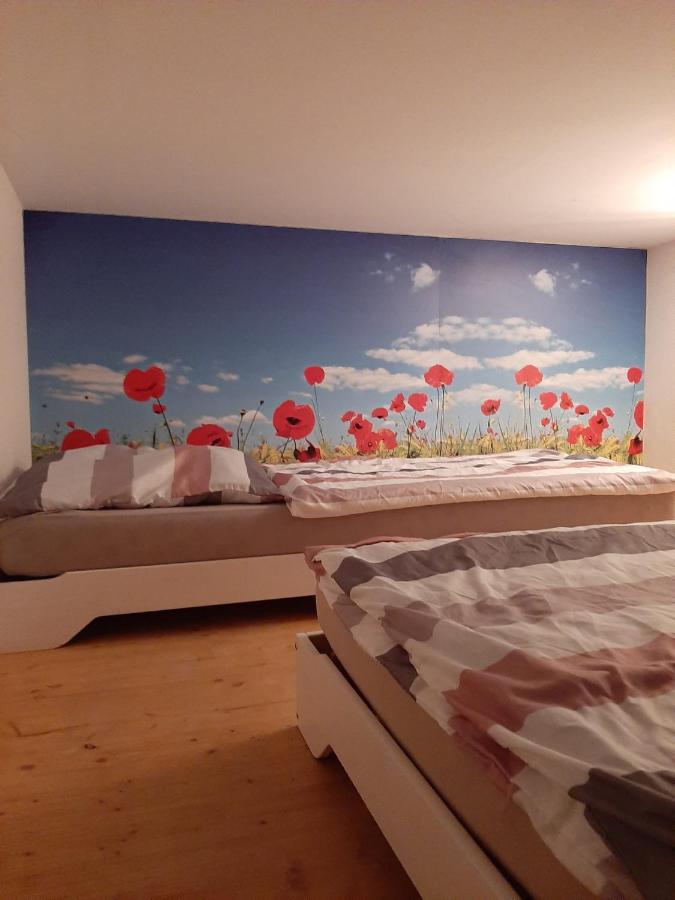 Hostel Airport Oberglatt Екстер'єр фото